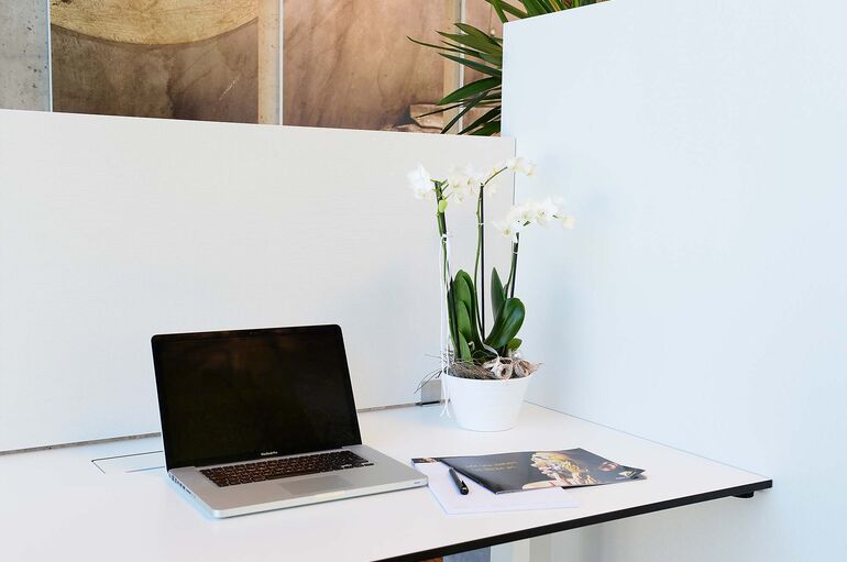 Smart Perf Trennwand V1 klein