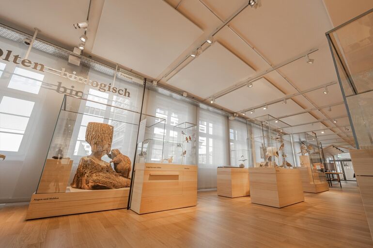 Museum 01 1