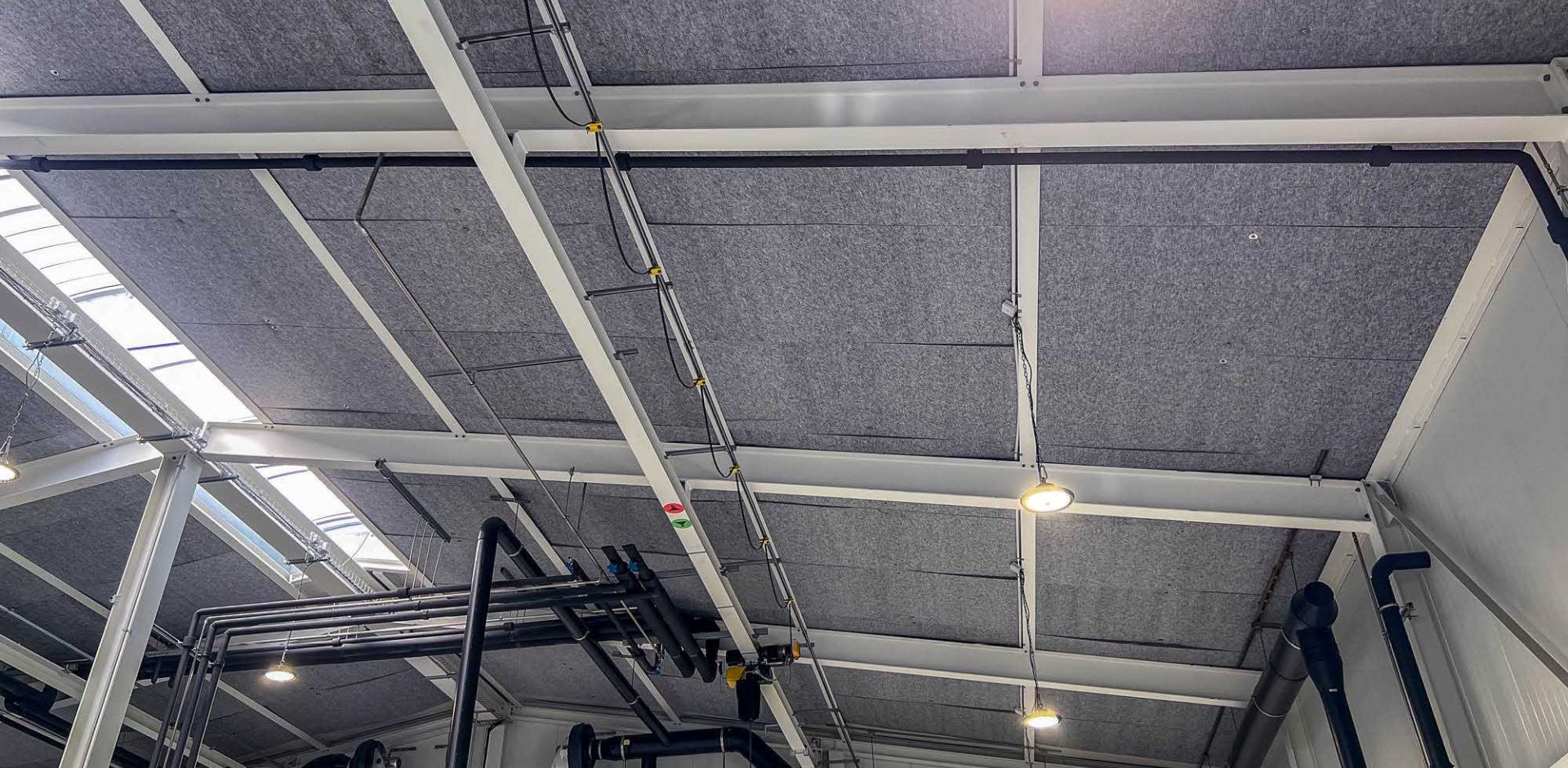 Surovon V1 2000x1400 gross